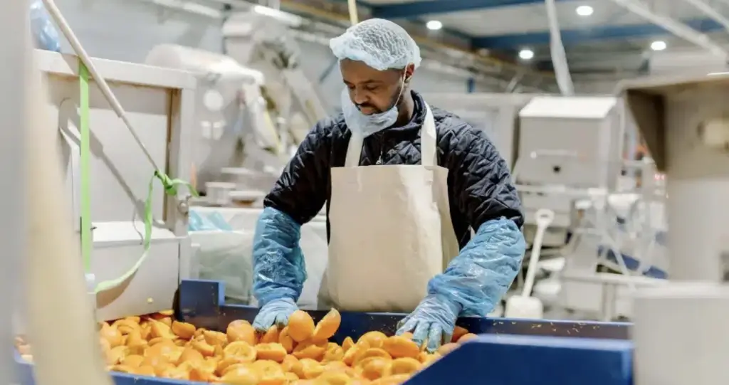 PeelPioneers raises €4M to expand Citrus Peel Recycling Operations